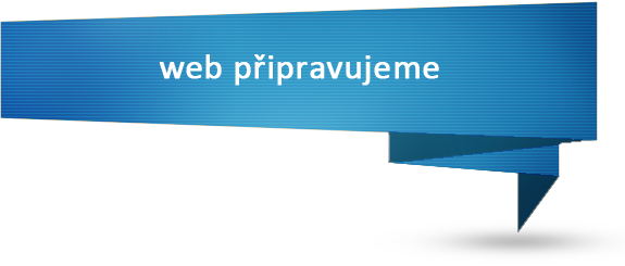 Webová stránka se připravuje